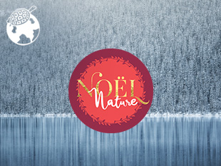 Fond d'écran Noël Nature