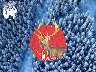 Fond d'écran Noël Nature