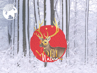 Fond d'écran Noël Nature