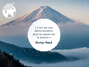 Fond d'écran Noël Nature