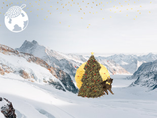 Fond d'écran Noël Nature