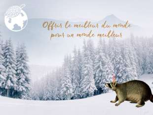 Fond d'écran Noël Nature