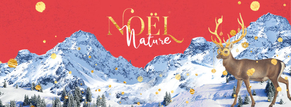 fond d'ecran Noël Nature