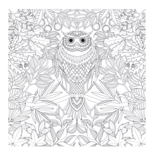 Carnet De Coloriage Jardin Secret