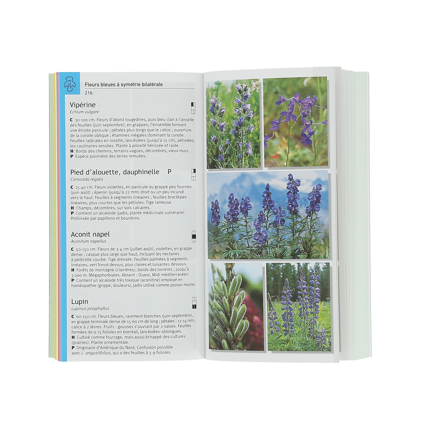 Guide de la faune et de la flore Nature & Découvertes