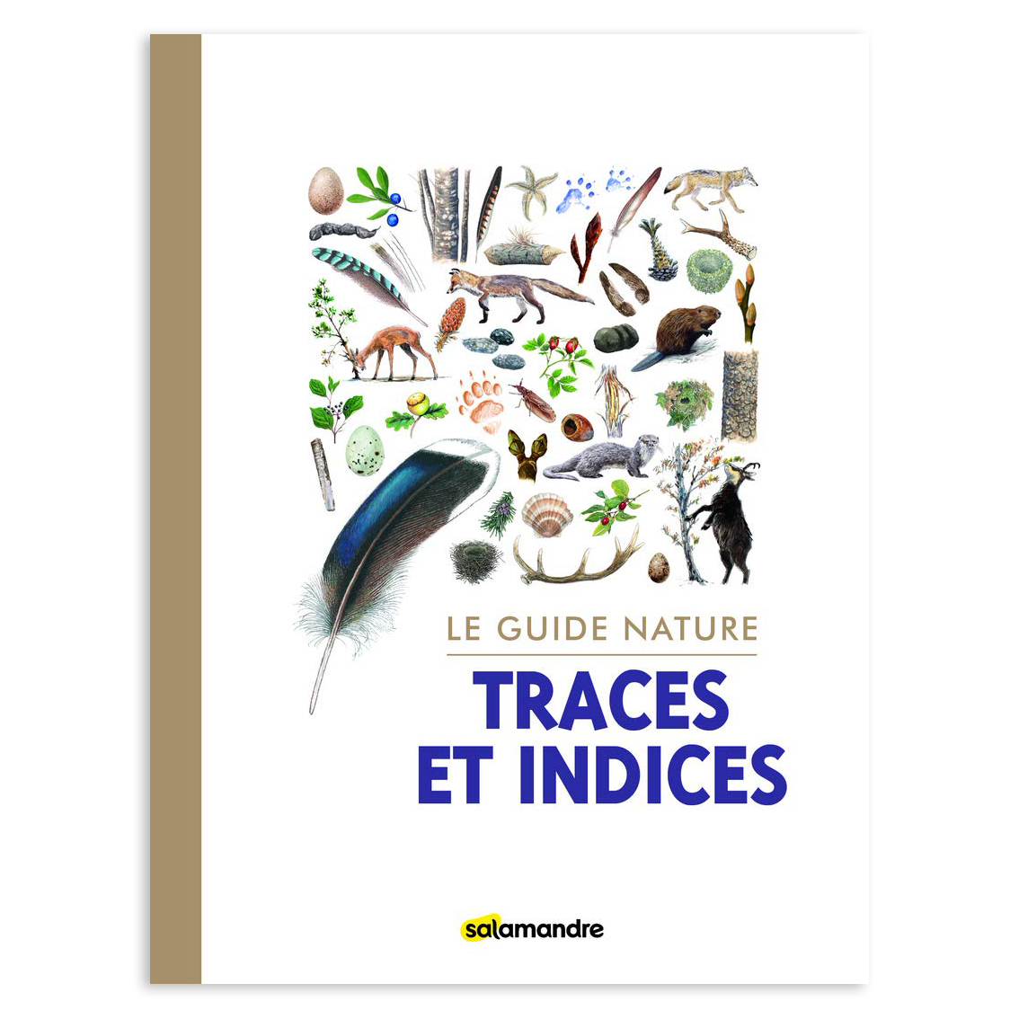 Le guide nature : Traces et indices