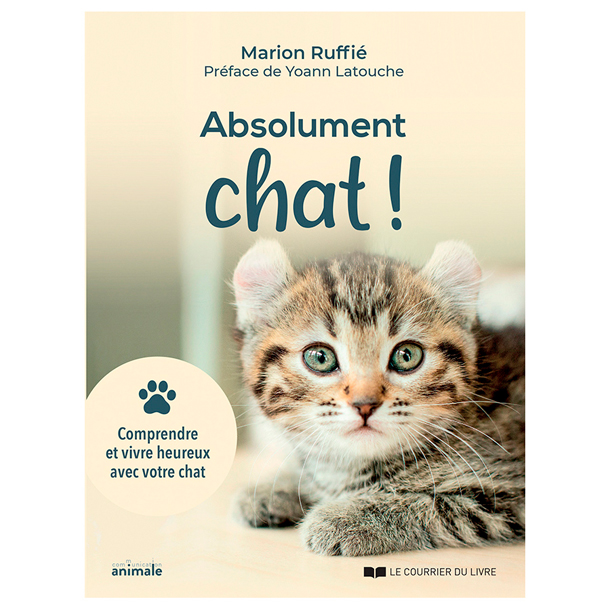 Absolument chat !