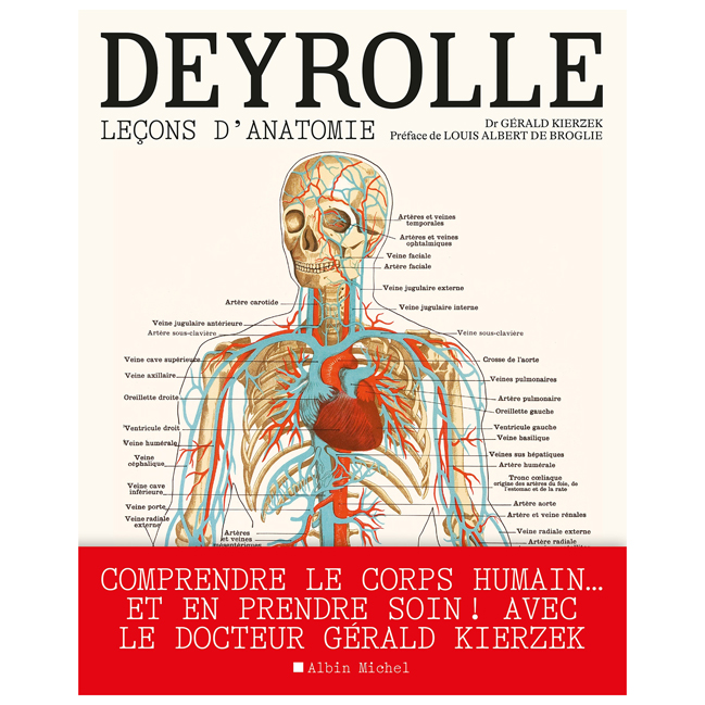 Leçons d'anatomie Deyrolle