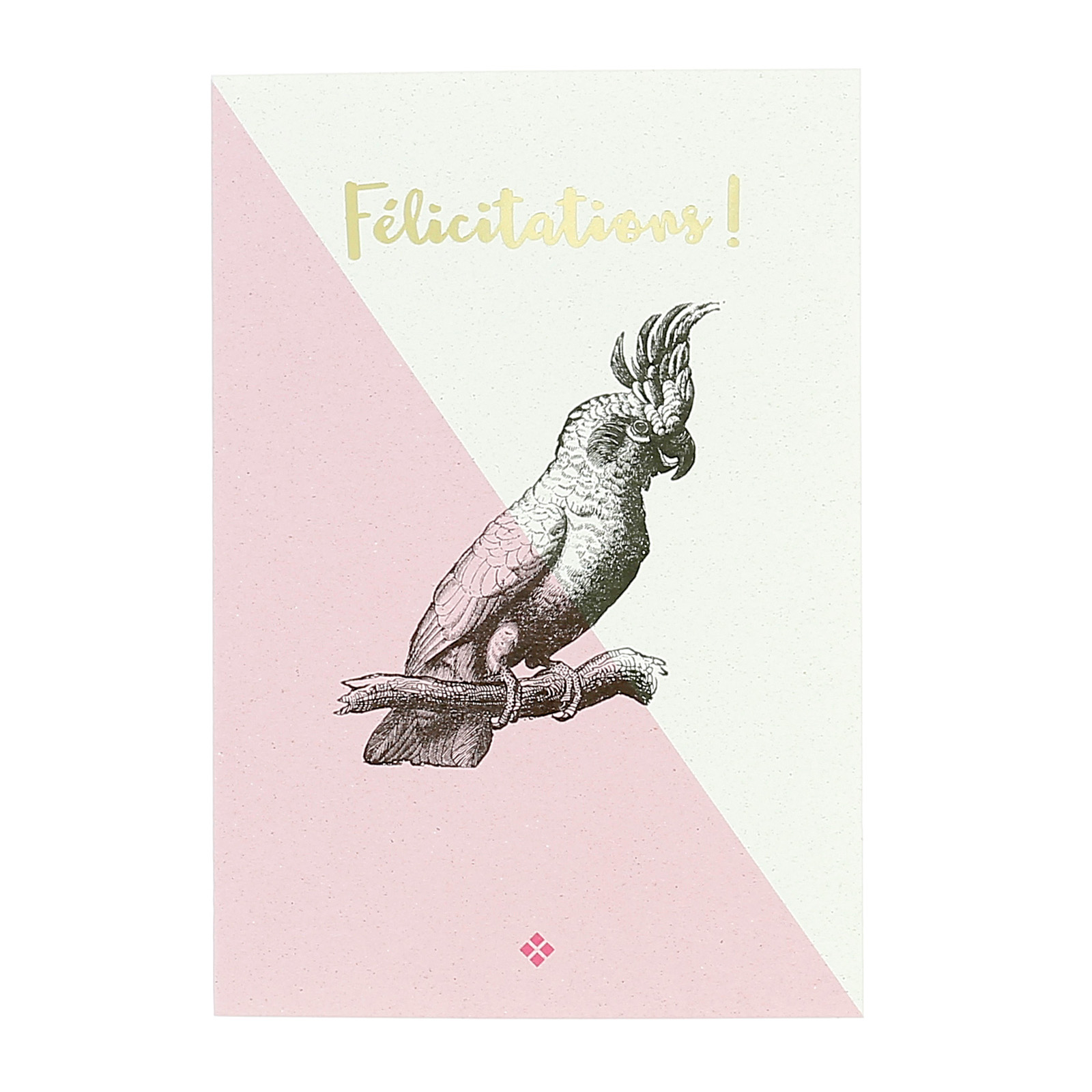 Carte Perroquet