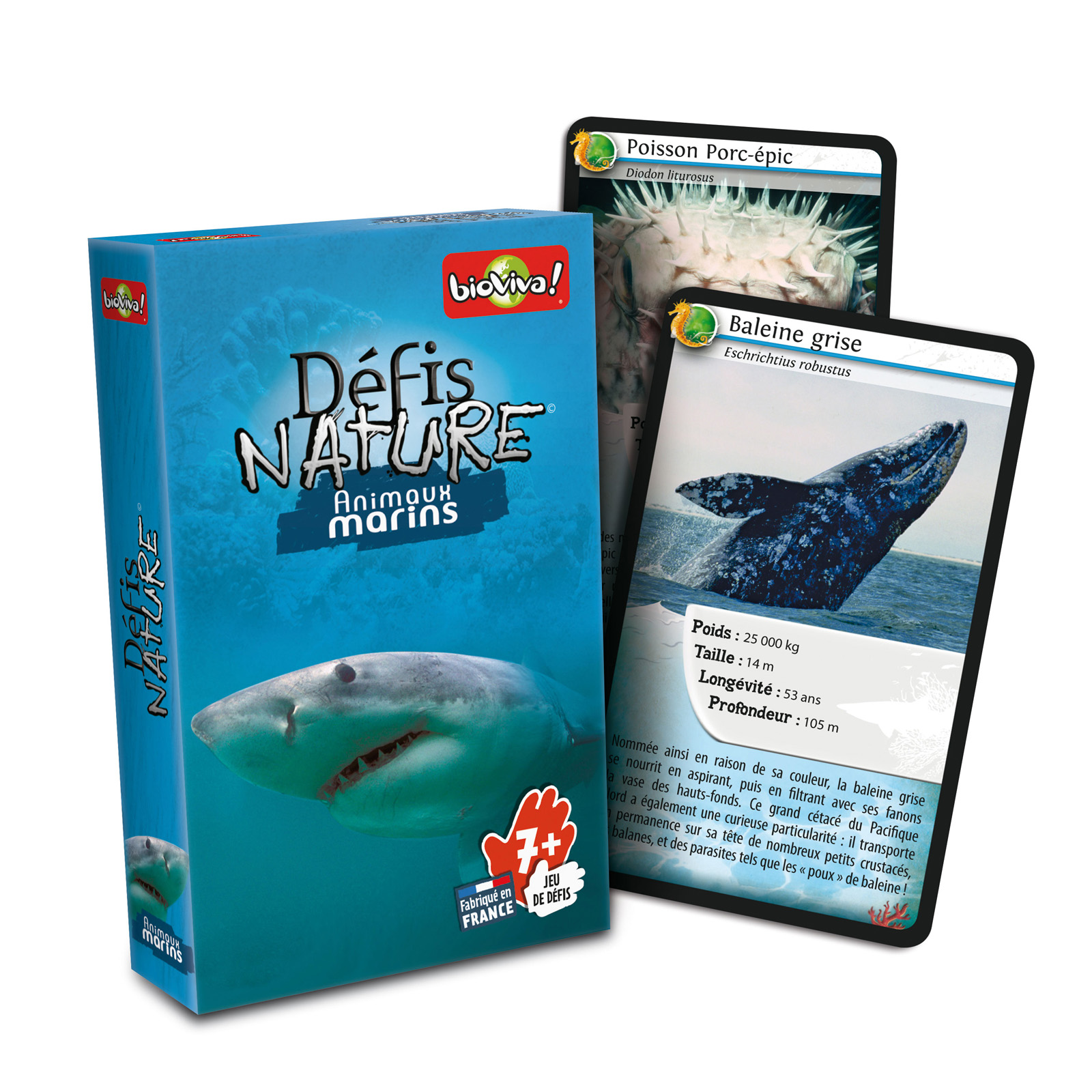 Défis nature Animaux marins