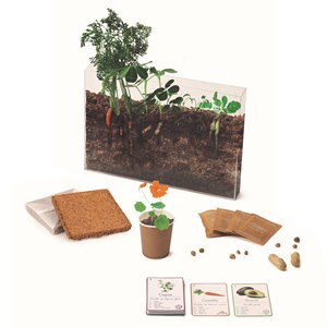 Coffret botanique Montessori | Nature & Découvertes