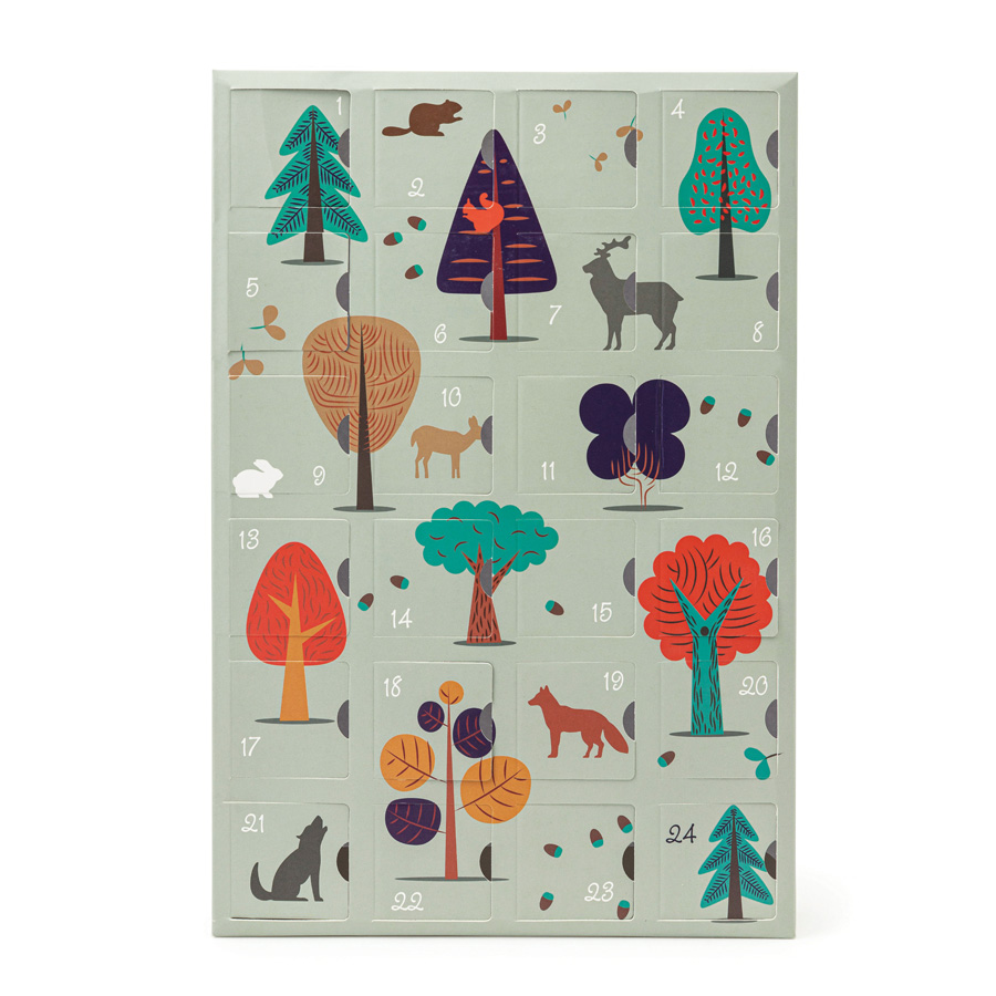 Calendrier de l avent 2023 nature et découverte