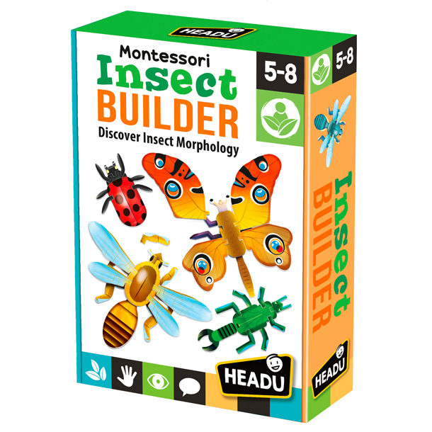 Maquettes d'insectes à assembler