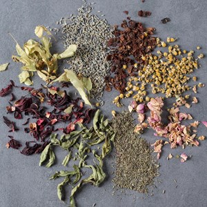 Infusions A Composer Soi Meme Nature Decouvertes