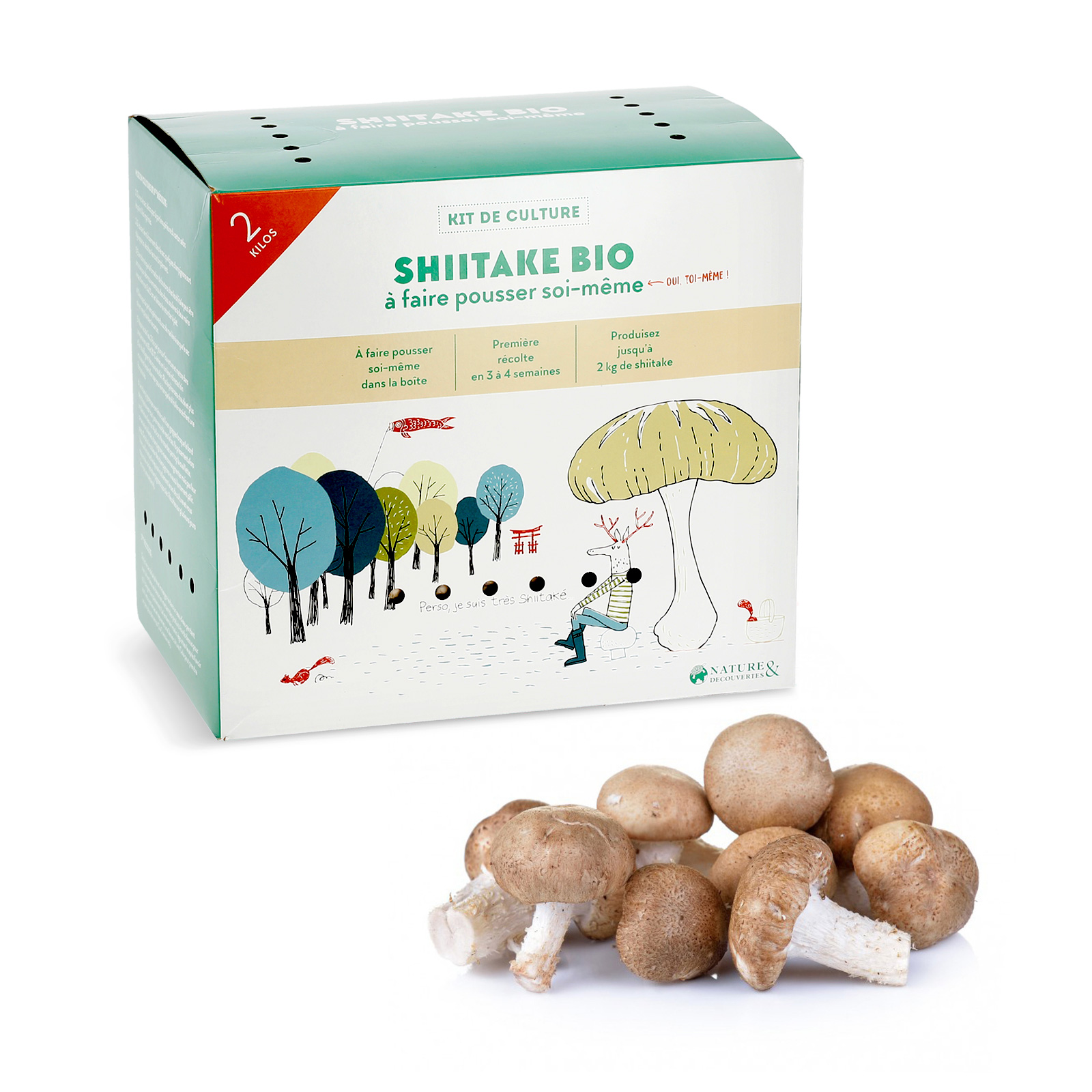 Comment Cultiver Des Champignons De Paris Chez Soi Sans Kit Champignons Shiitake à faire pousser | Nature & Découvertes