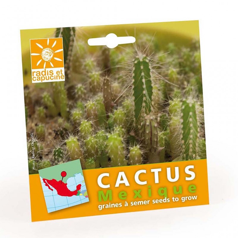 Sachet de graines de cactus