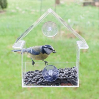 Mangeoires Pour Oiseaux Nature Decouvertes