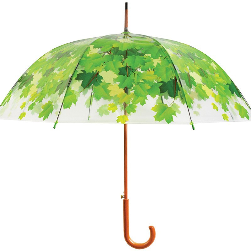 Parapluie sous l'arbre