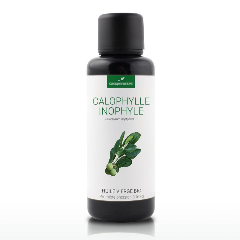 Calophylle inophyle bio - 50ml