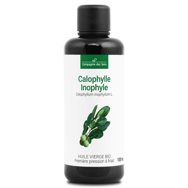 Calophylle inophyle bio - 100ml