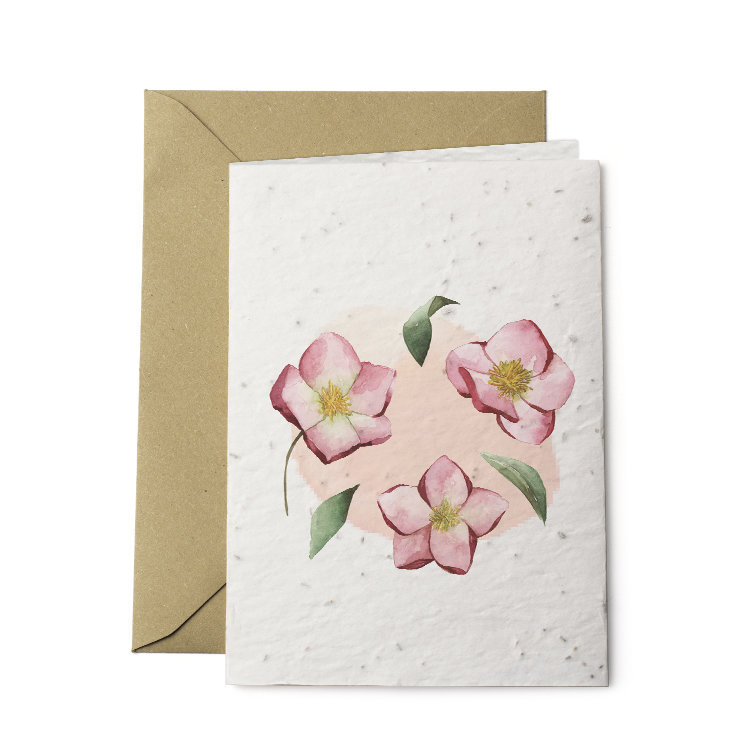 Carte A Planter 2 Volets Coquelicot Nature Decouvertes