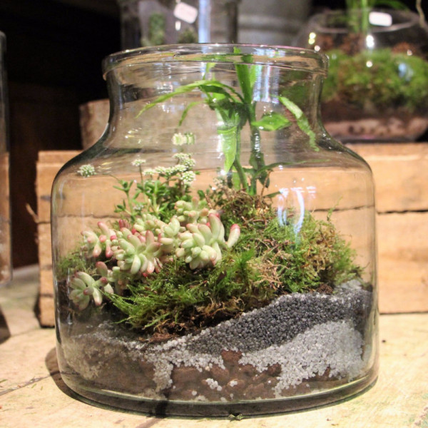 Créez votre terrarium à paris Nature & Découvertes