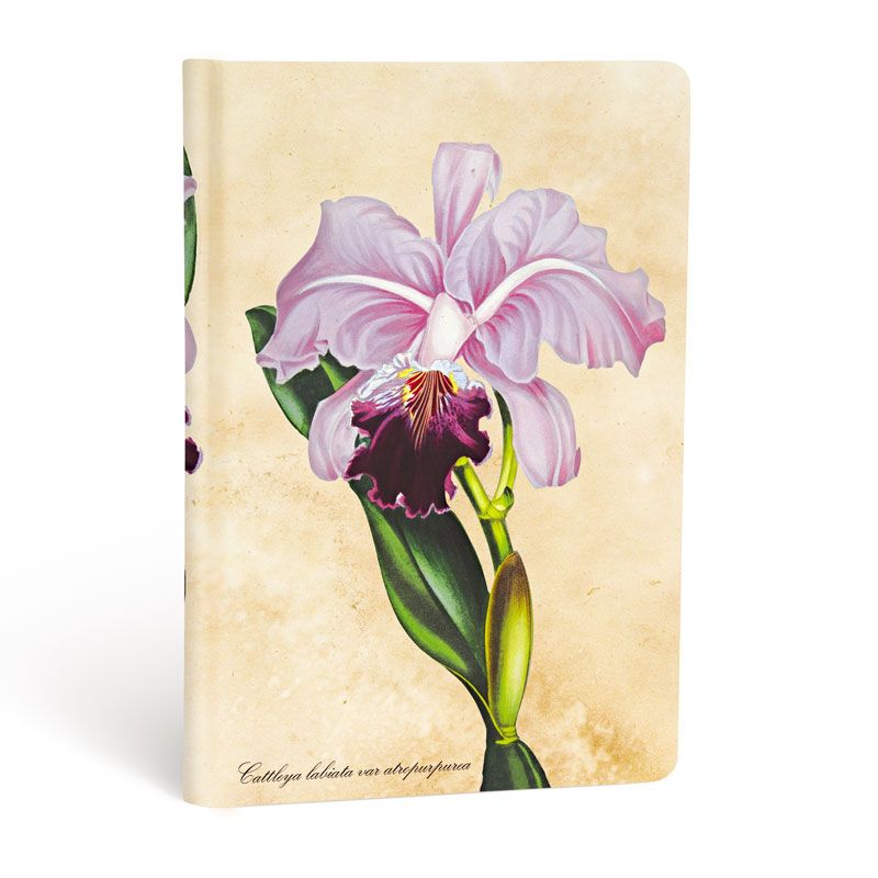 Petit carnet paperblanks ligné, orchidée