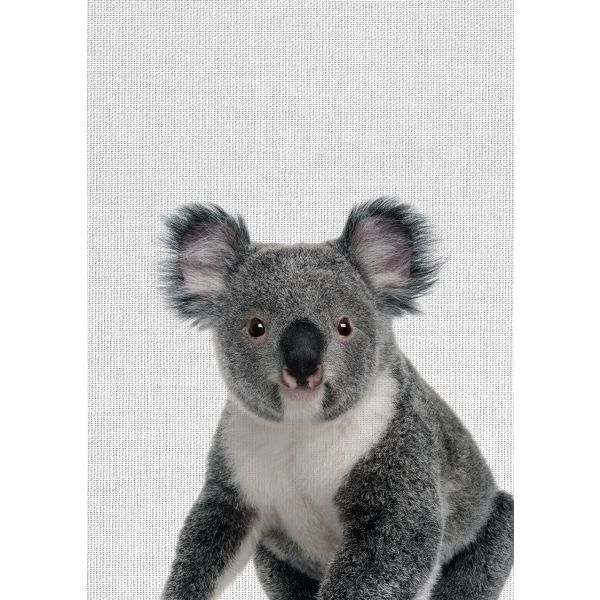 Tableau metal koala