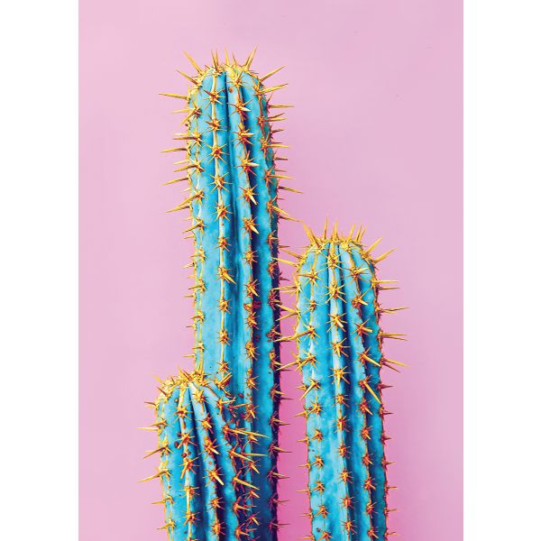 Tableau metal cactus bleu