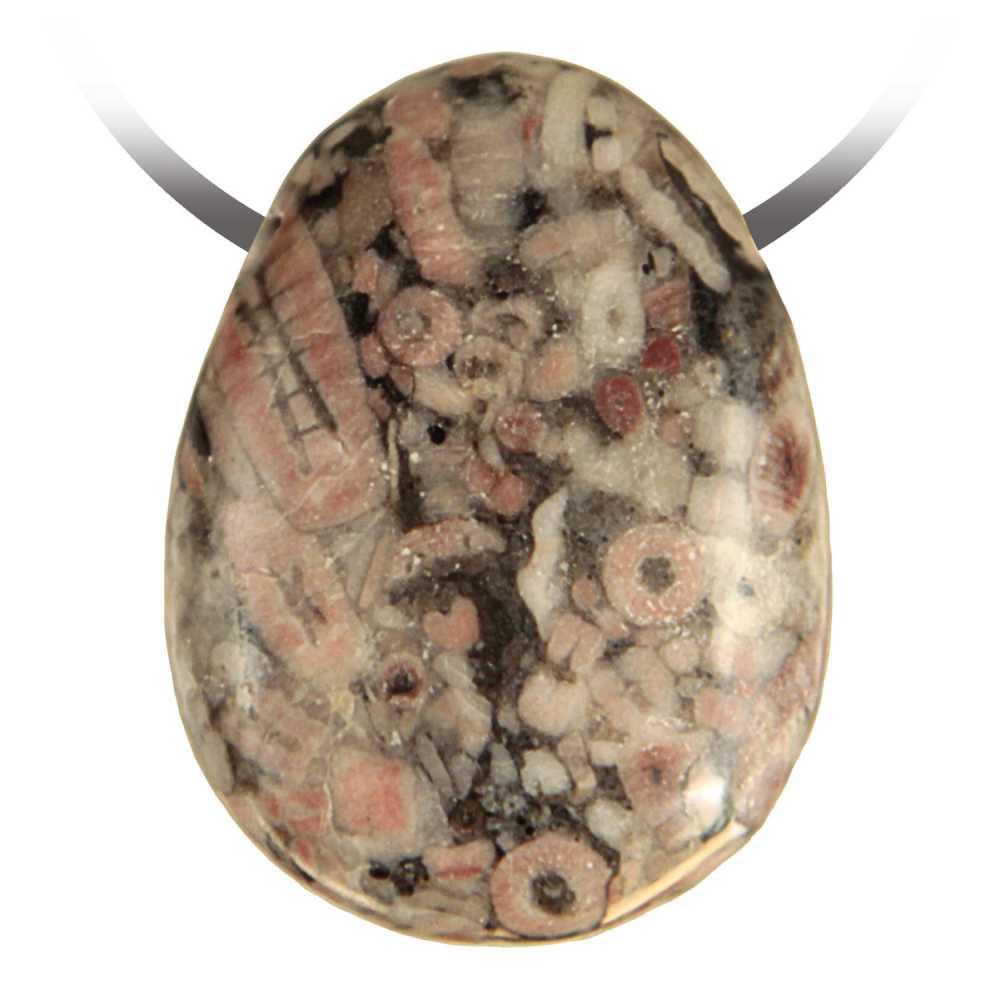 Pendentif goutte crinoïde fossille