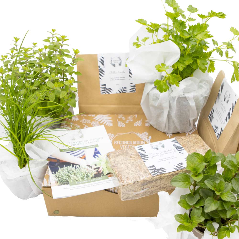 Kit de jardinage, plantes aromatiques