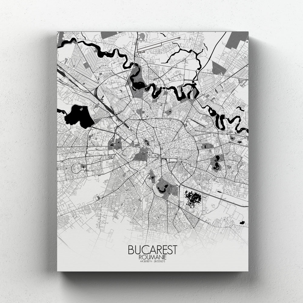 Bucarest sur toile city map n&b