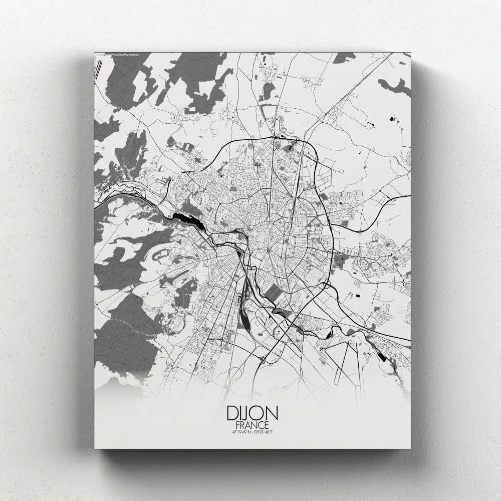 Dijon sur toile city map n&b