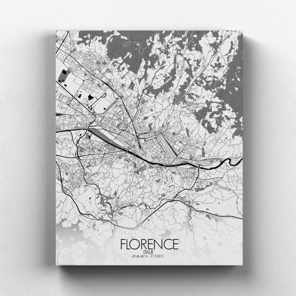 Florence sur toile city map n&b