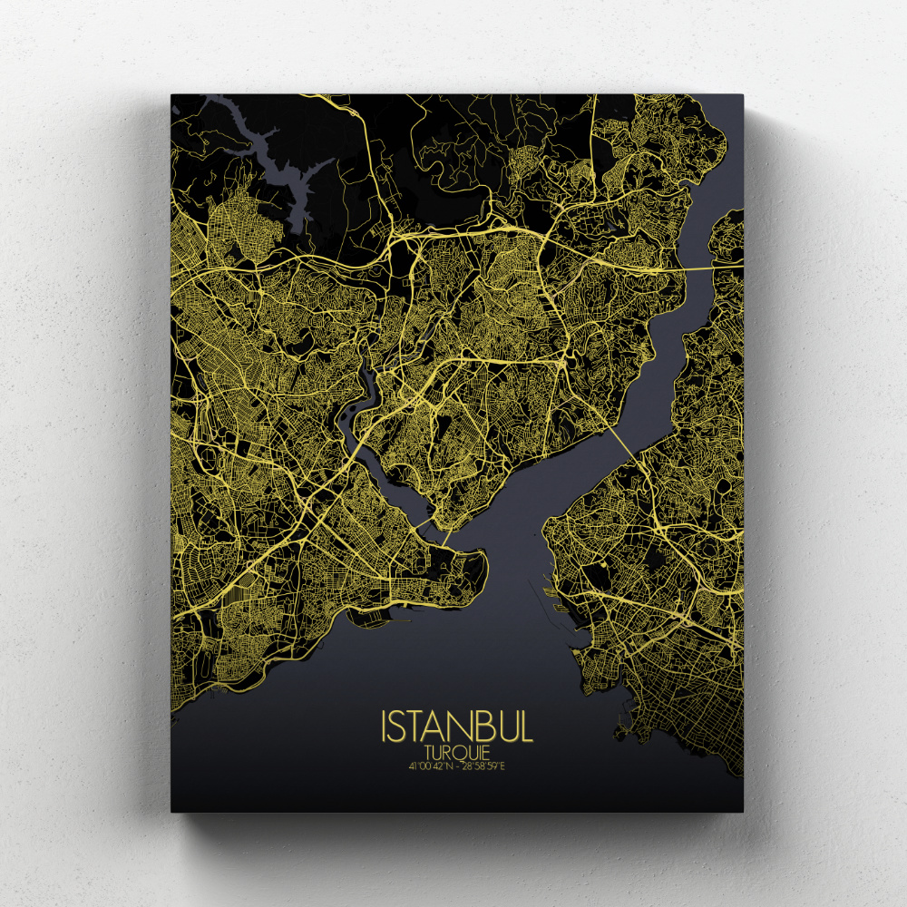 Istanbul sur toile city map nuit