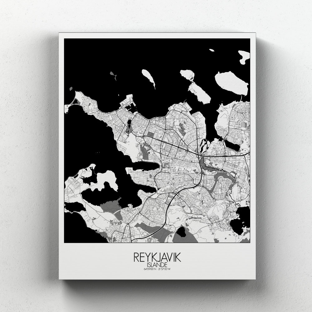 Reykjavik sur toile city map n&b