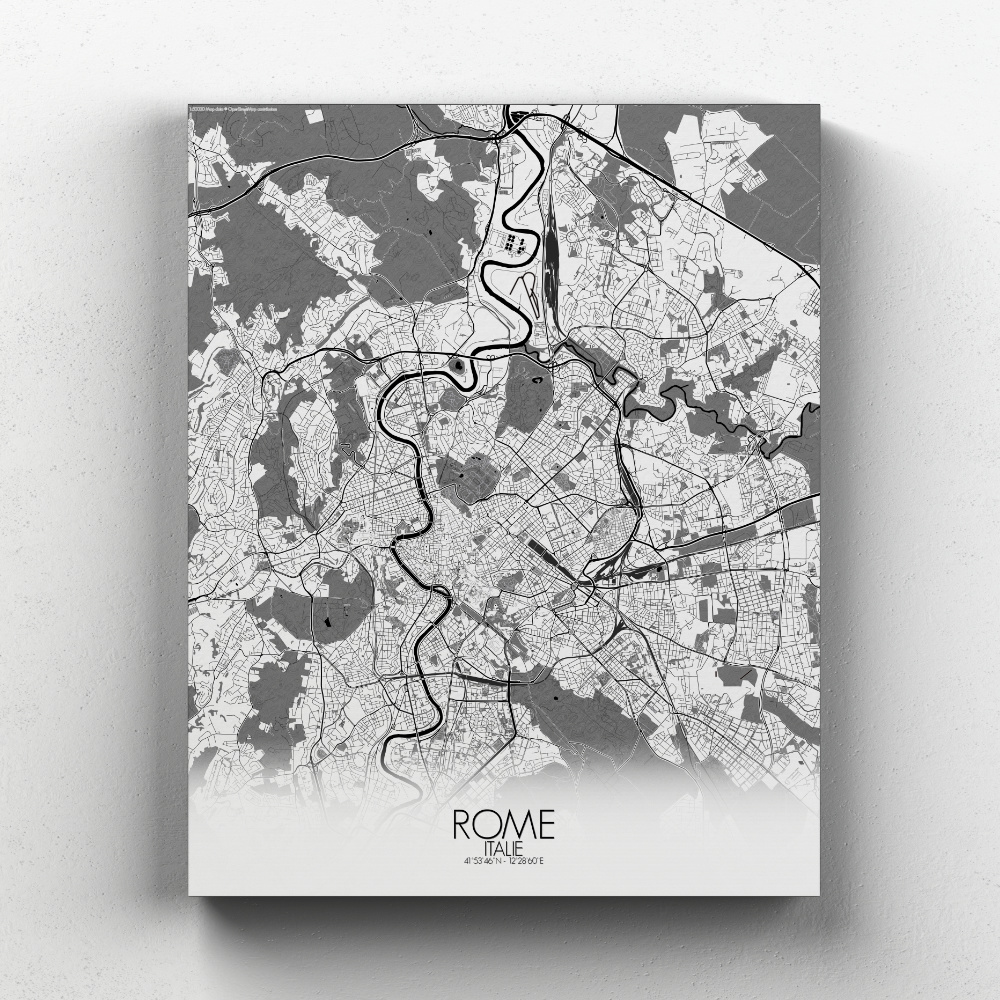 Rome sur toile city map n&b