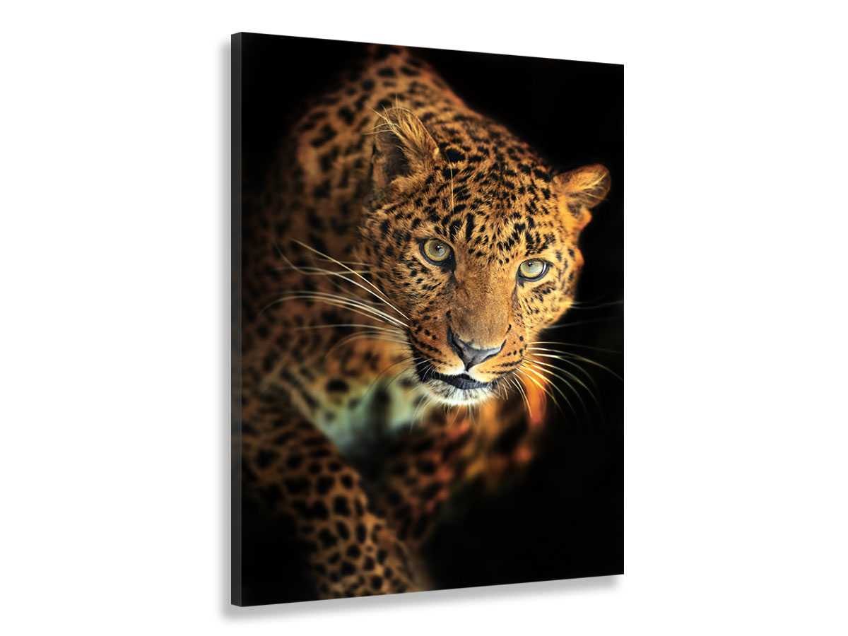 Tableau design le léopard