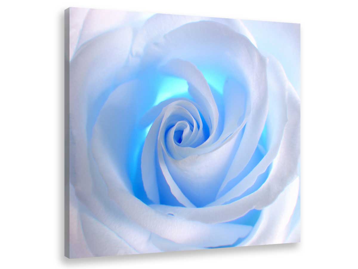 Tableau design blue roses
