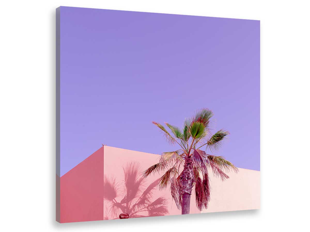 Toile photo pink palma