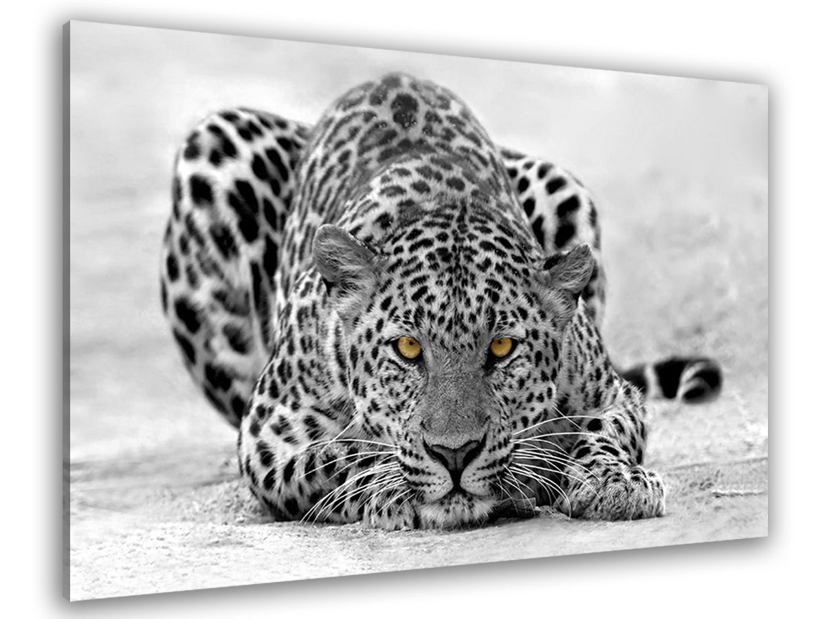 Tableau design déco leopard