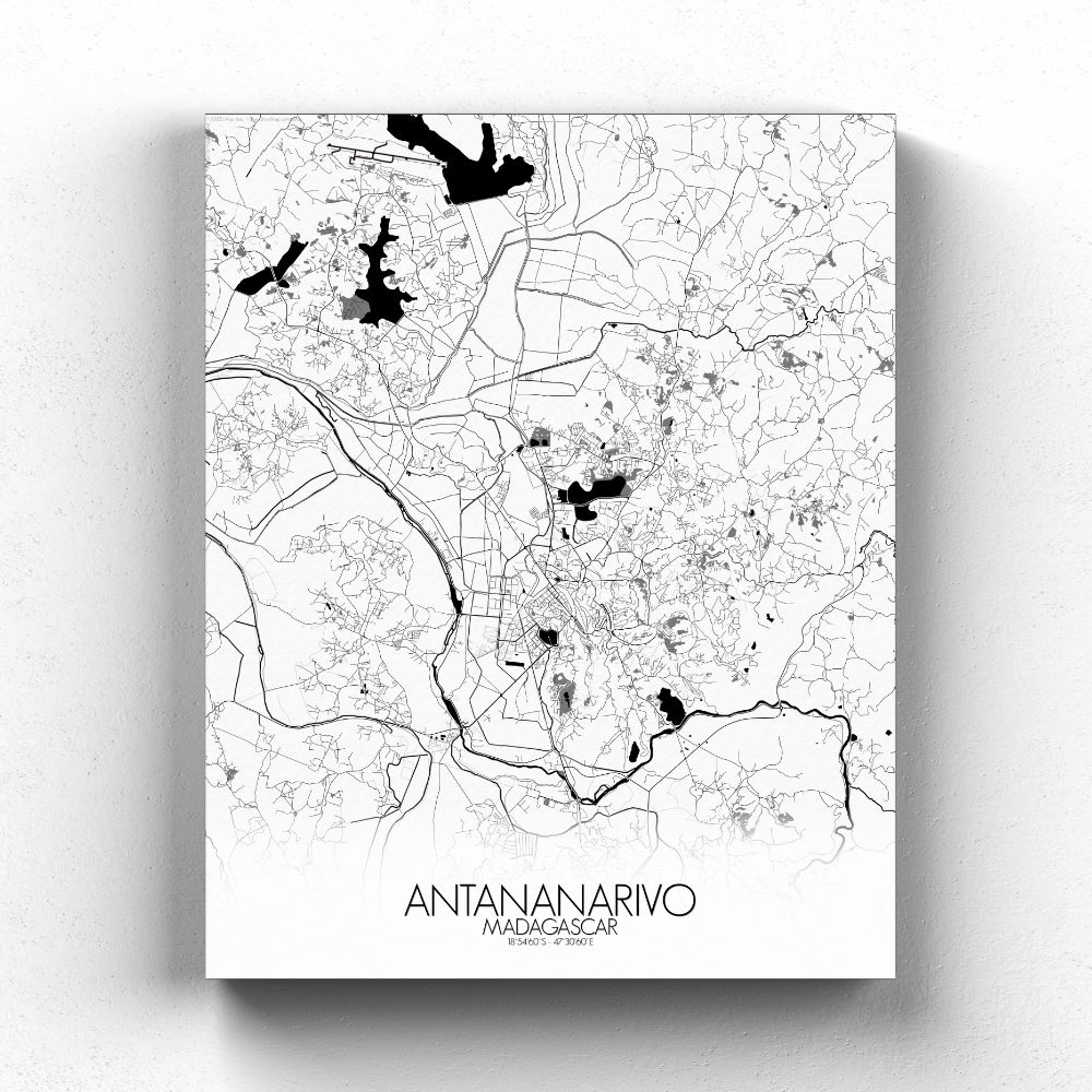 Antananarivo sur toile city map n&b