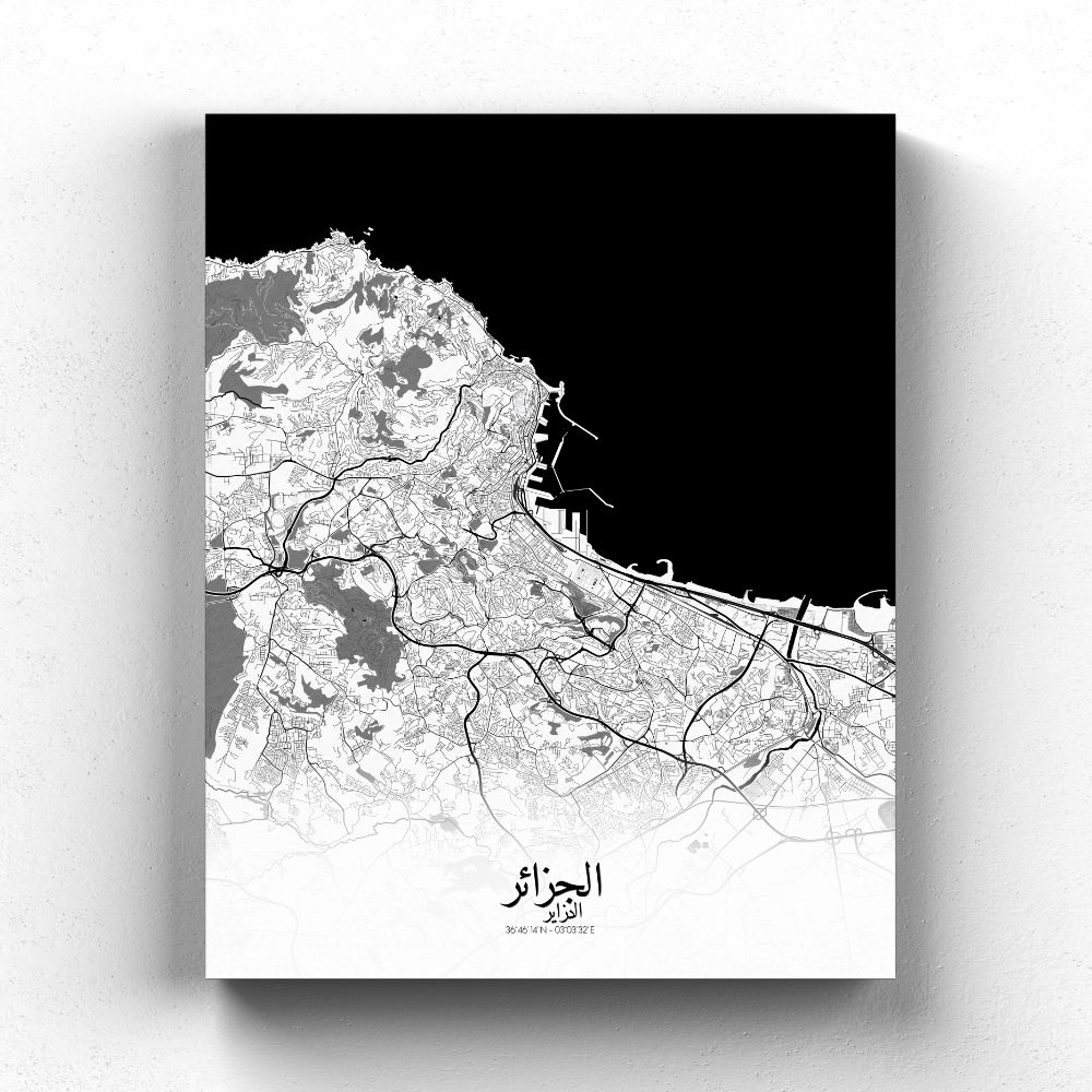 Alger sur toile city map n&b