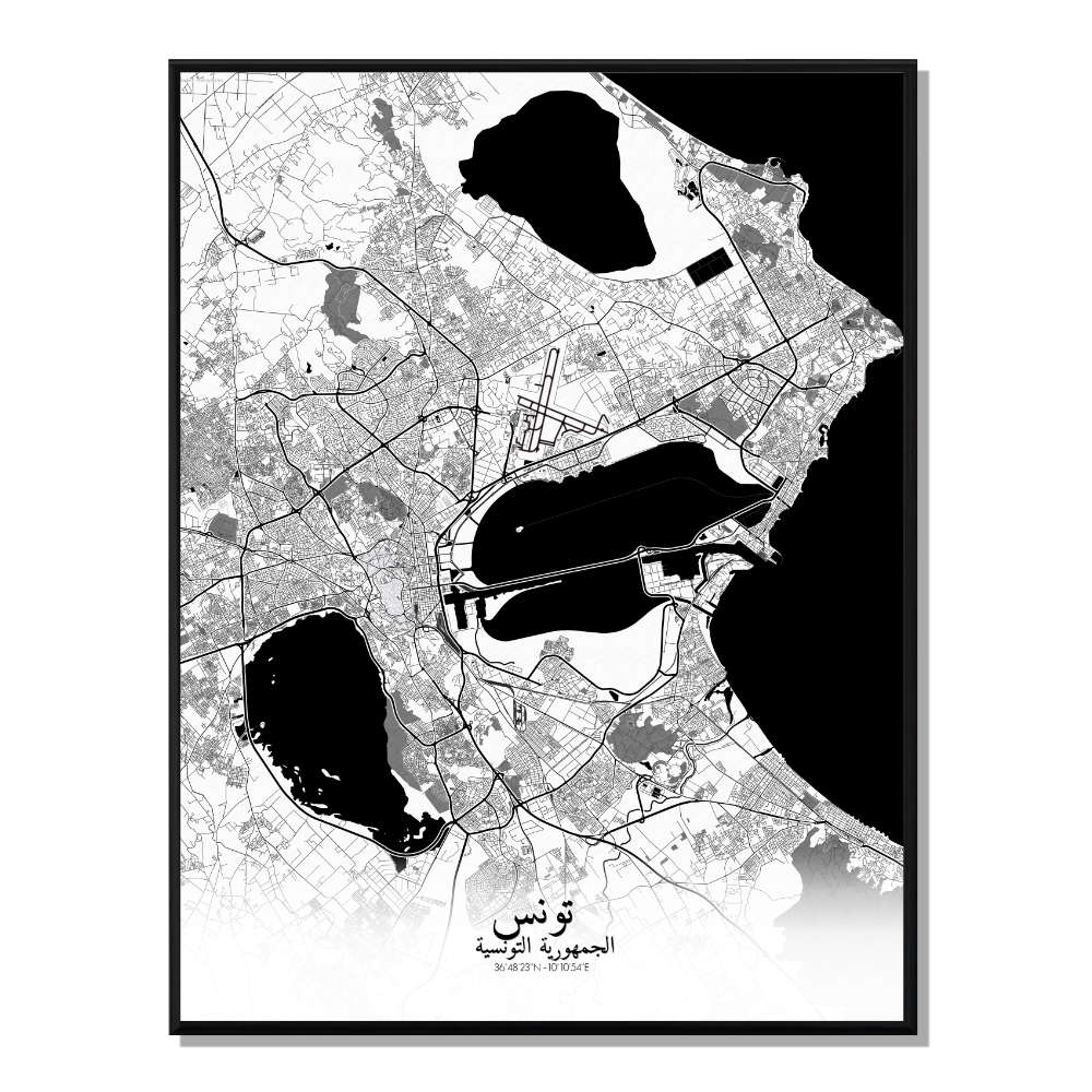 Tunis carte ville city map n&b