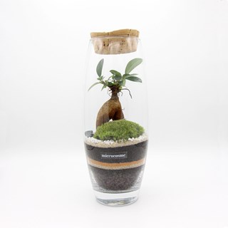 Terrarium Nature Decouvertes