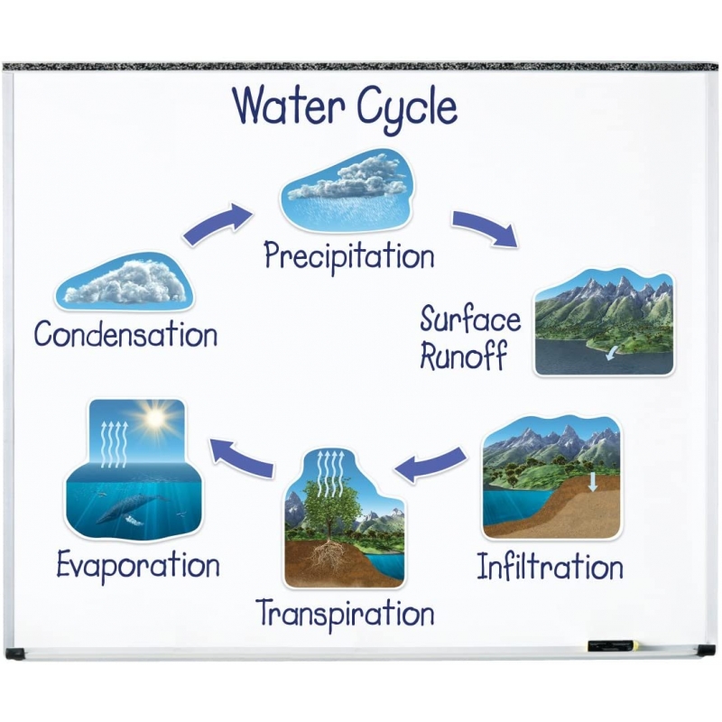 Cycle magnétique de l'eau