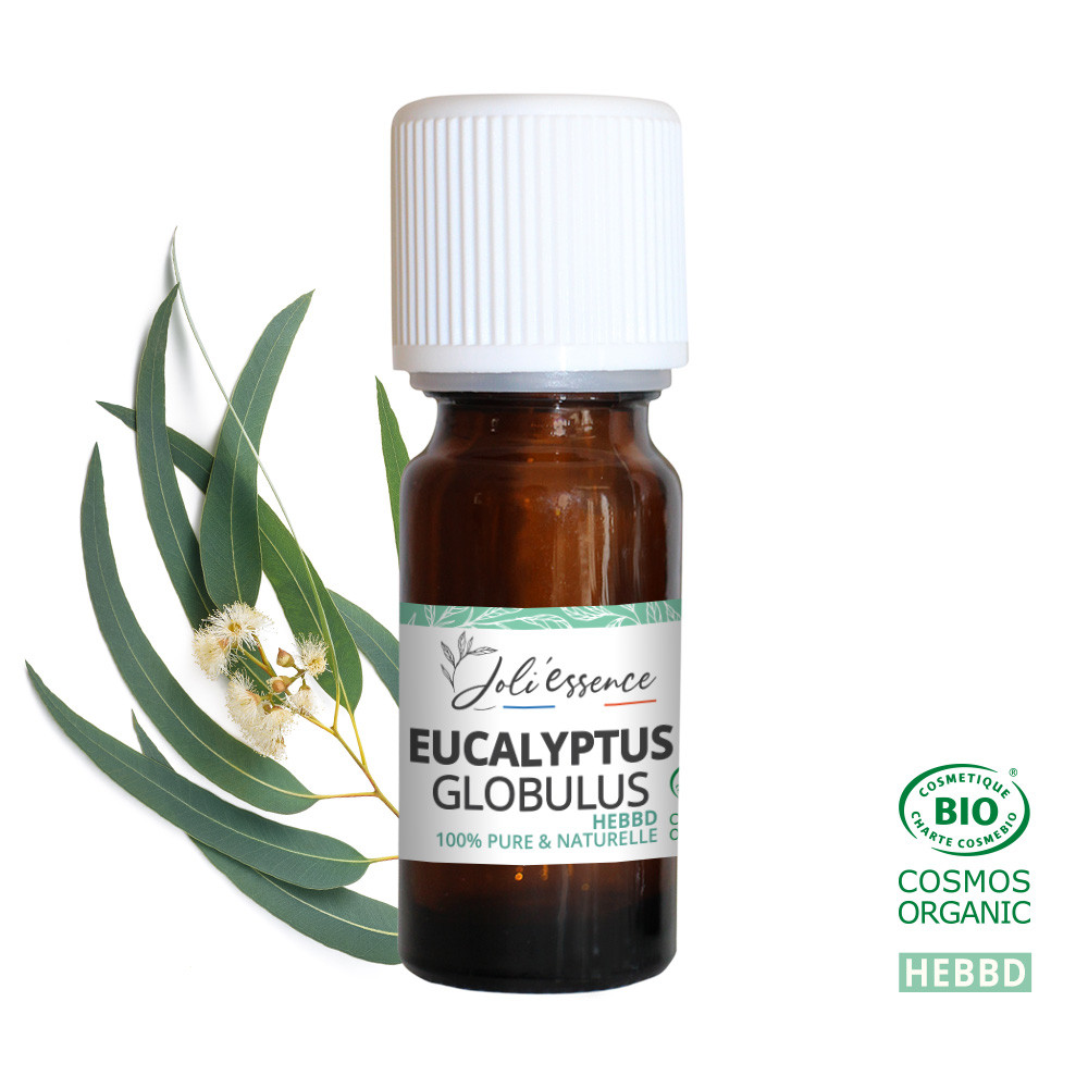 Eucalyptus globulus bio - huile essentie