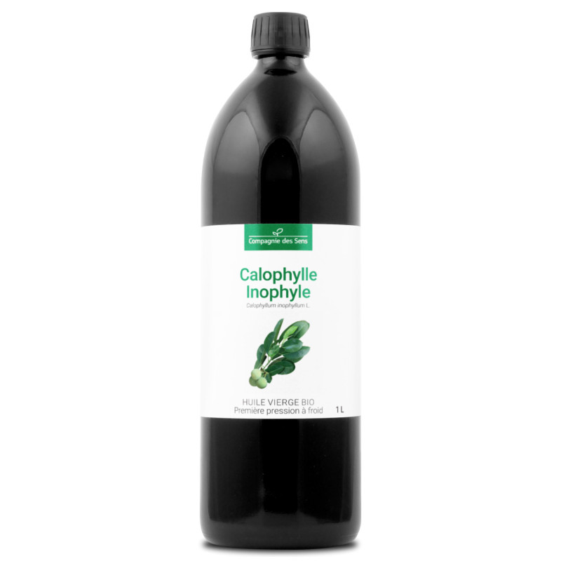Calophylle inophyle bio - 1l