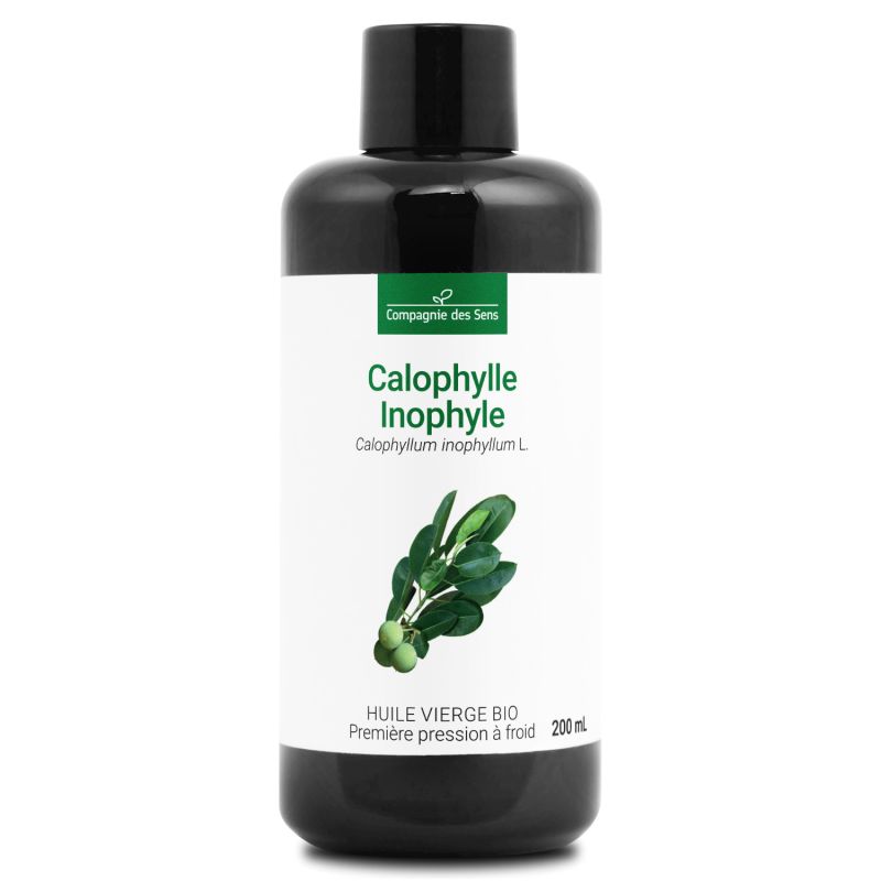 Calophylle inophyle bio - 200ml