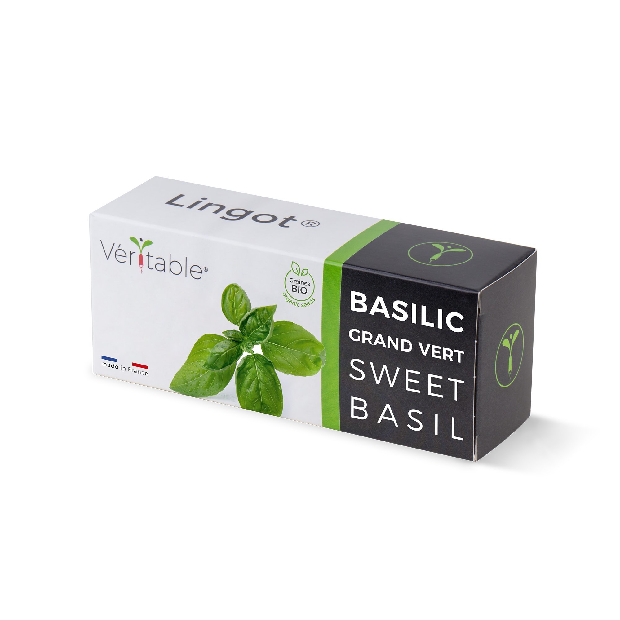 Lingot® basilic grand vert bio